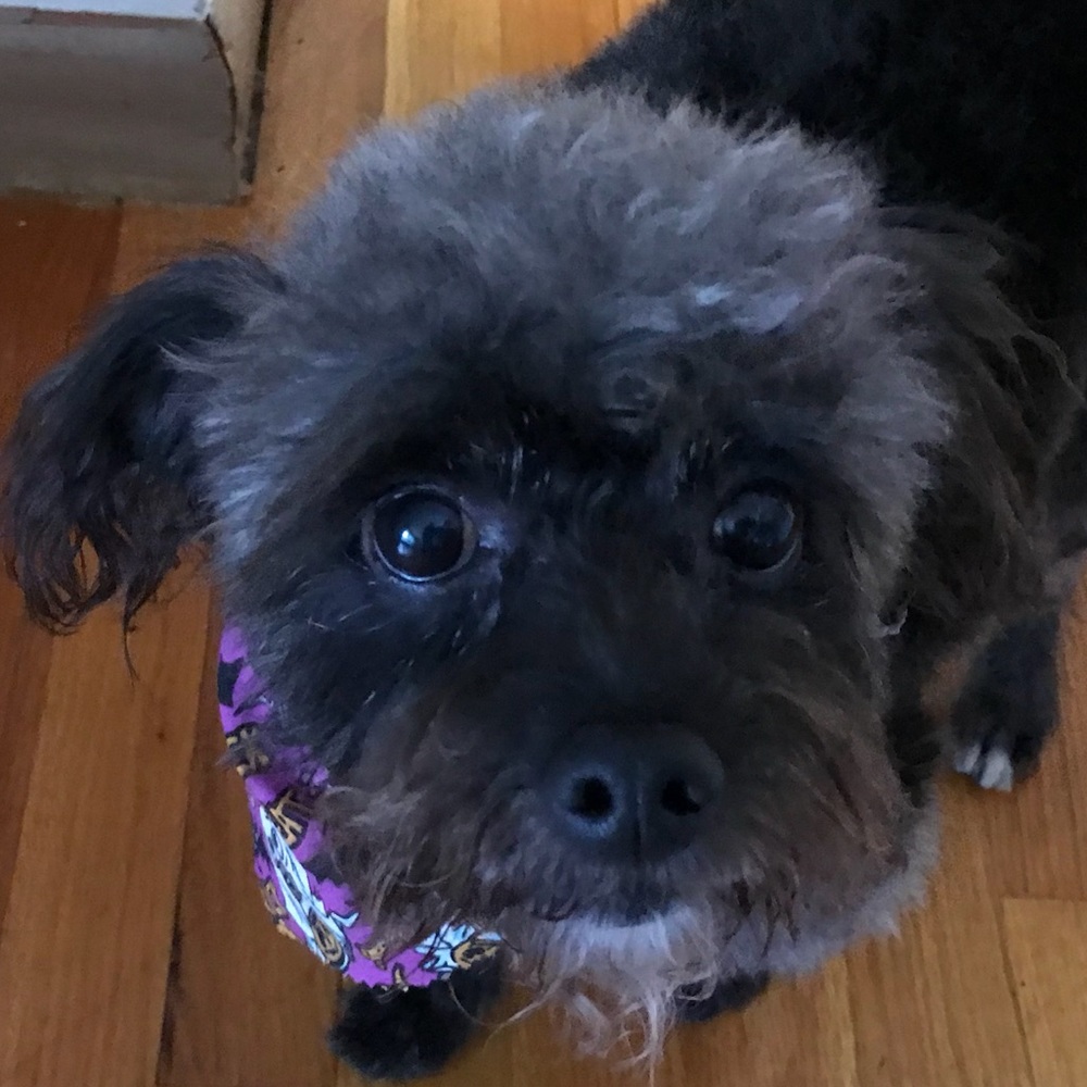 Meet your Posher, Catherine